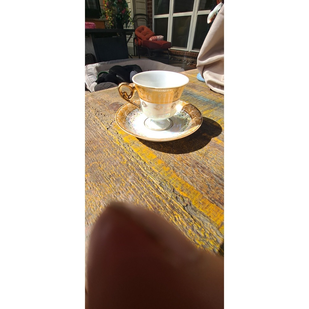 Peach Lusterware Floral Stems Teacup & Saucer Gold Accents / Trim Unmarked